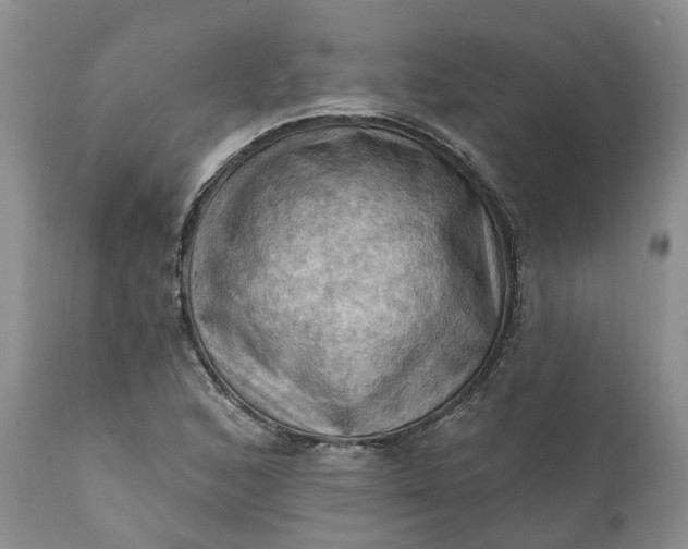 X0000111361168200907241215