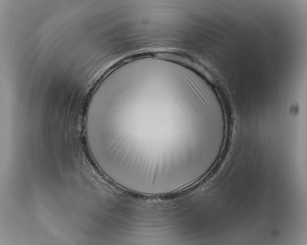 X0000111361169200907241215
