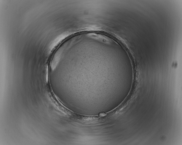 X0000111361171200907241215
