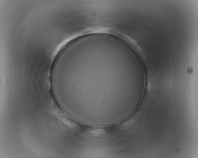 X0000111361174200907241215