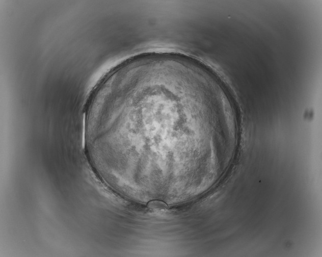 X0000111361175200907241215