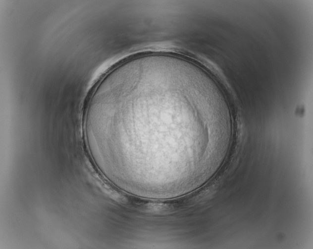 X0000111361176200907241215