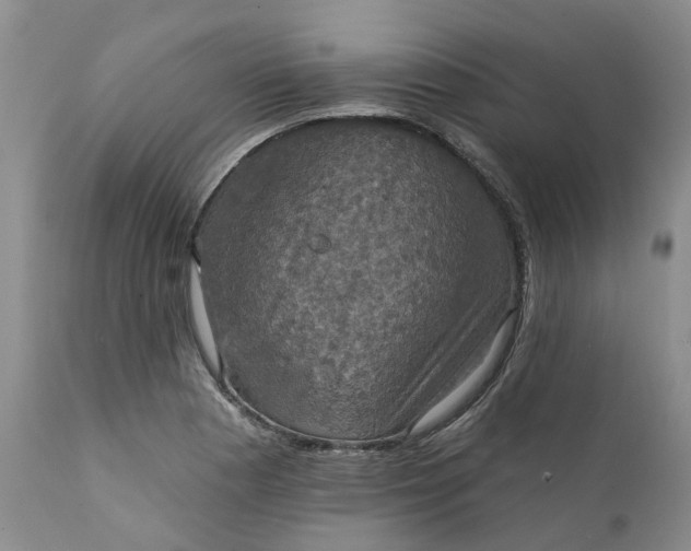 X0000111361177200907241215