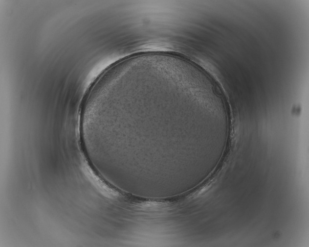 X0000111361179200907241215