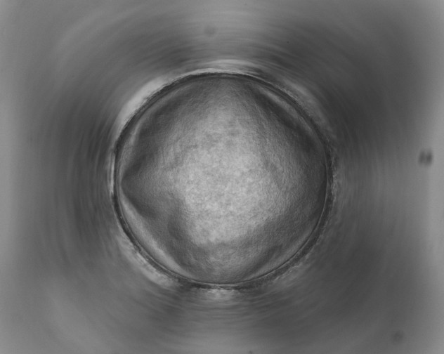 X0000111361180200907241215