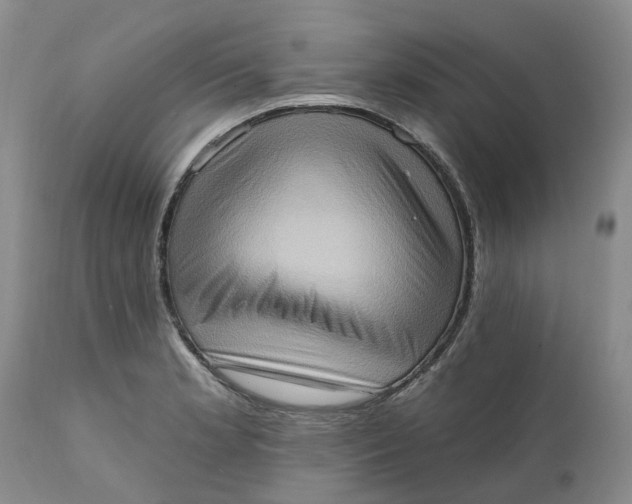 X0000111361181200907241215