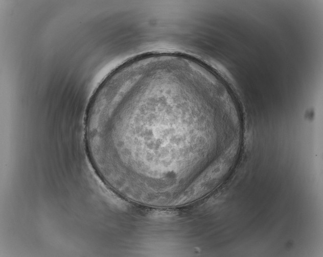 X0000111361183200907241215