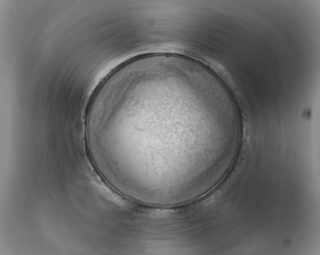 X0000111361184200907241215