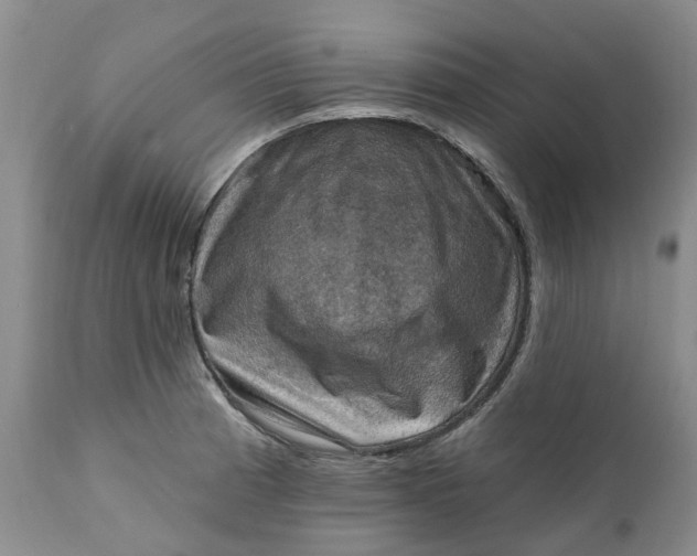 X0000111361185200907241215