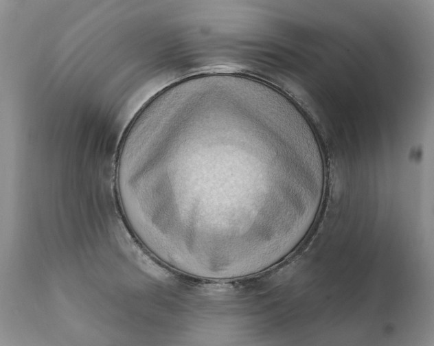 X0000111361186200907241215