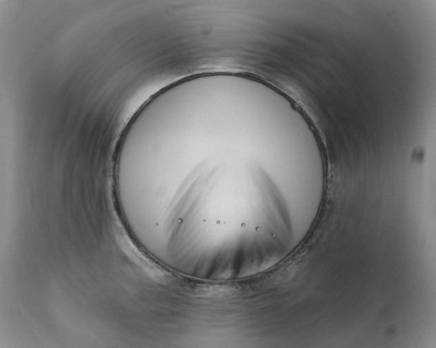 X0000111361187200907241215