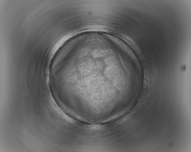 X0000111361188200907241215