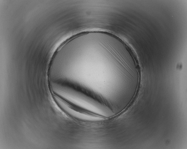 X0000111361189200907241215