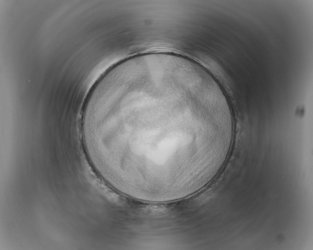 X0000111361190200907241215