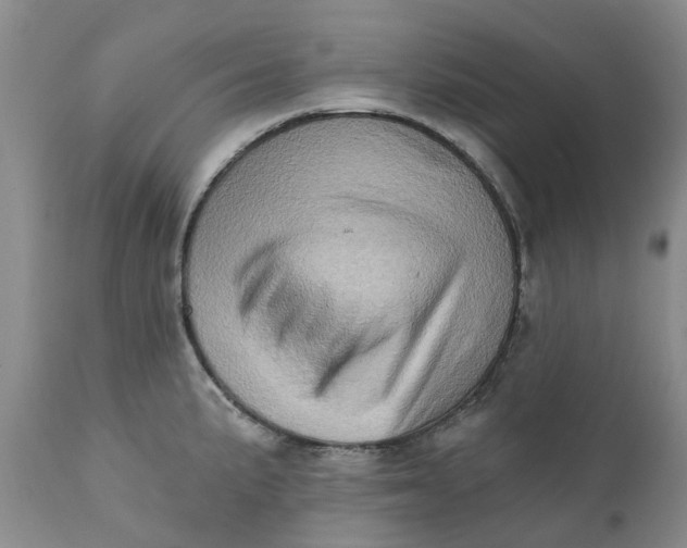X0000111361191200907241215