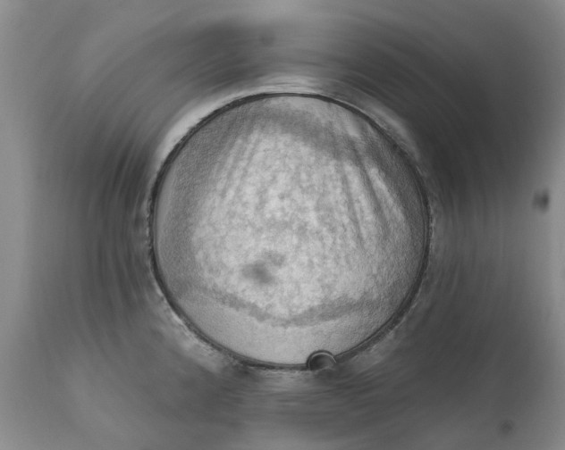 X0000111361192200907241215