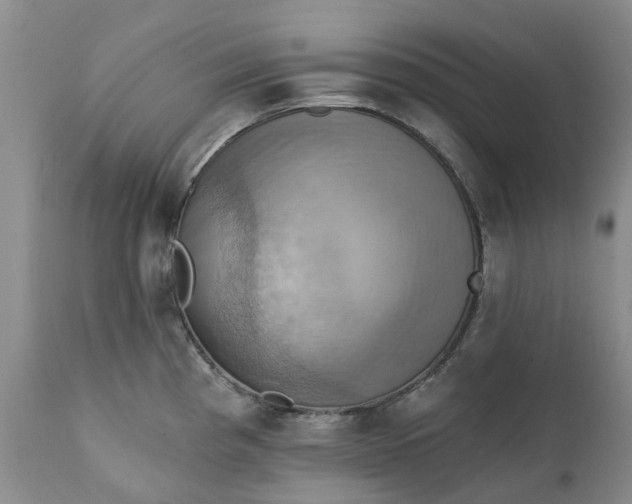 X0000111361193200907241215