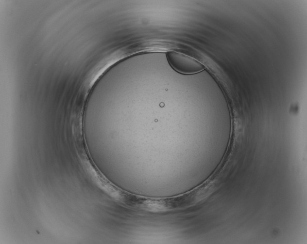 X0000111361194200907241215