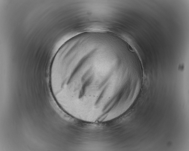 X0000111361195200907241215