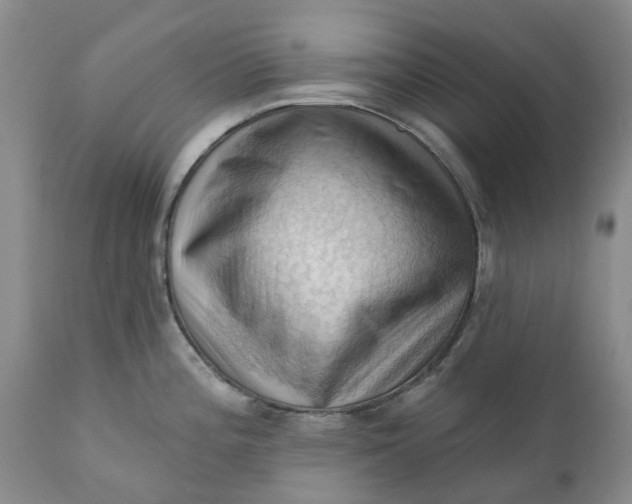 X0000111361196200907241215
