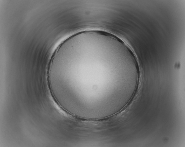 X0000111361197200907241215