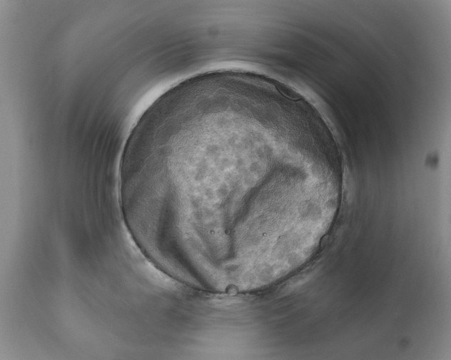 X0000111361199200907241215