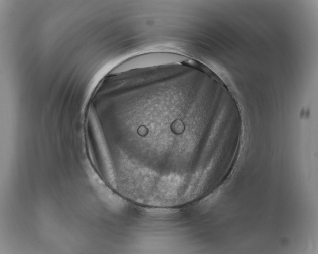X0000111361200200907241215