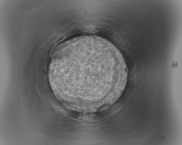 X0000111361201200907241214