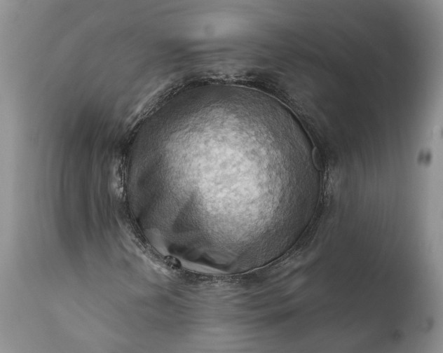 X0000111361202200907241214