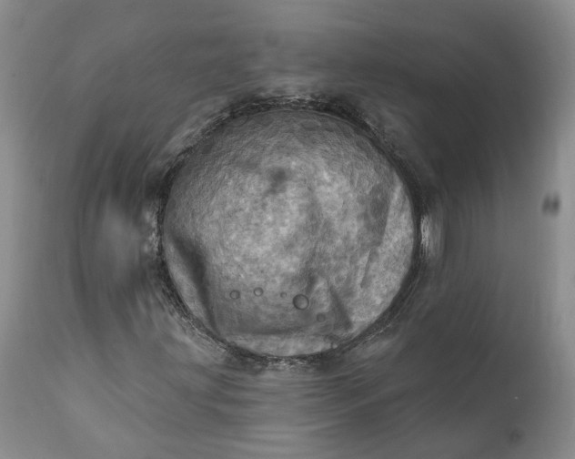 X0000111361203200907241214