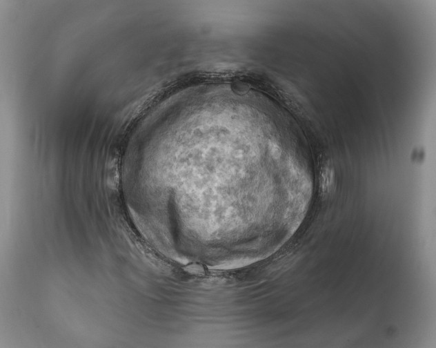 X0000111361204200907241214