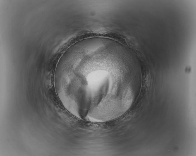 X0000111361205200907241214