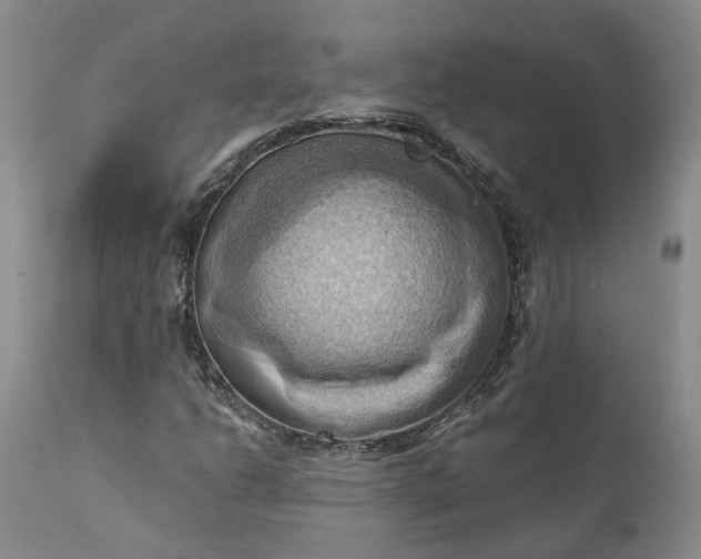 X0000111361206200907241214