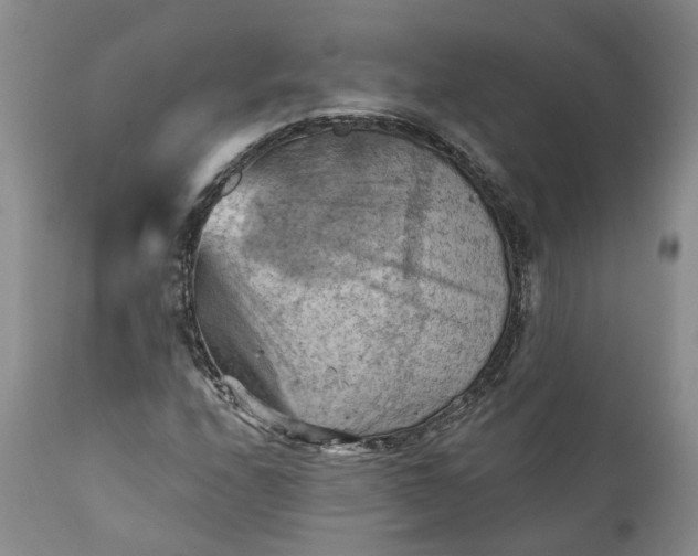 X0000111361208200907241214