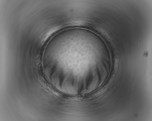 X0000111361210200907241214