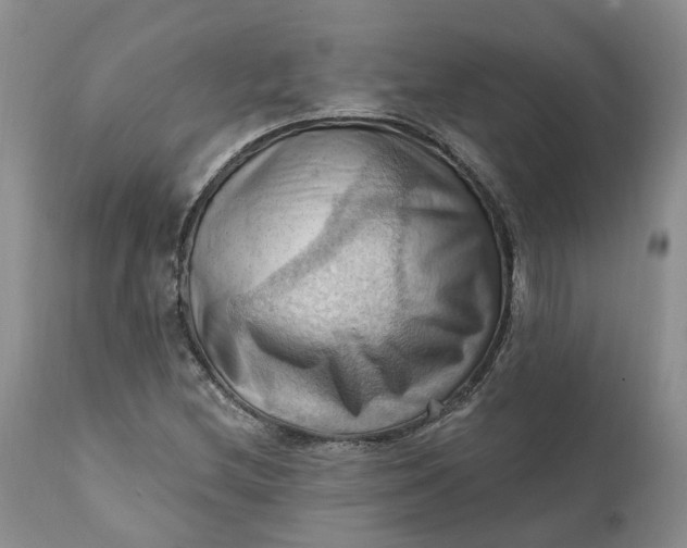 X0000111361212200907241214