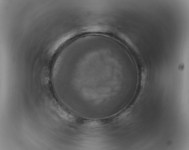 X0000111361213200907241214