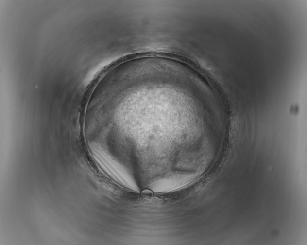X0000111361214200907241214