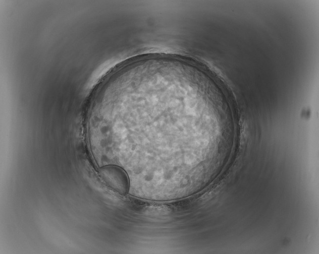 X0000111361215200907241214