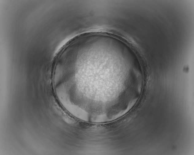 X0000111361216200907241214