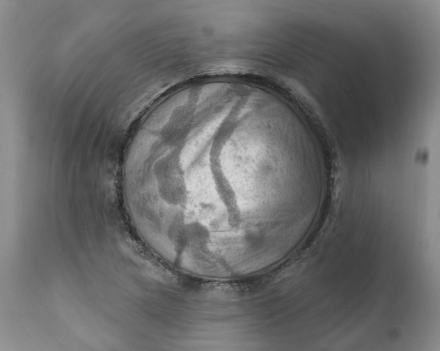 X0000111361217200907241214