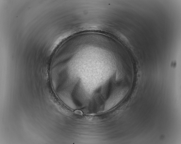 X0000111361218200907241214