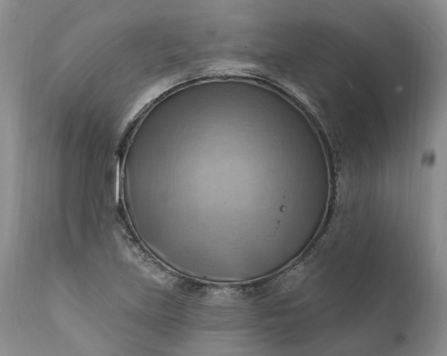 X0000111361219200907241214