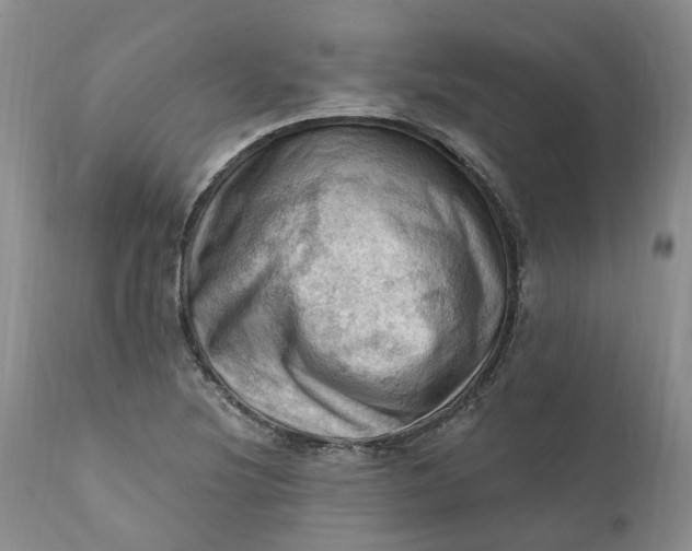 X0000111361220200907241214