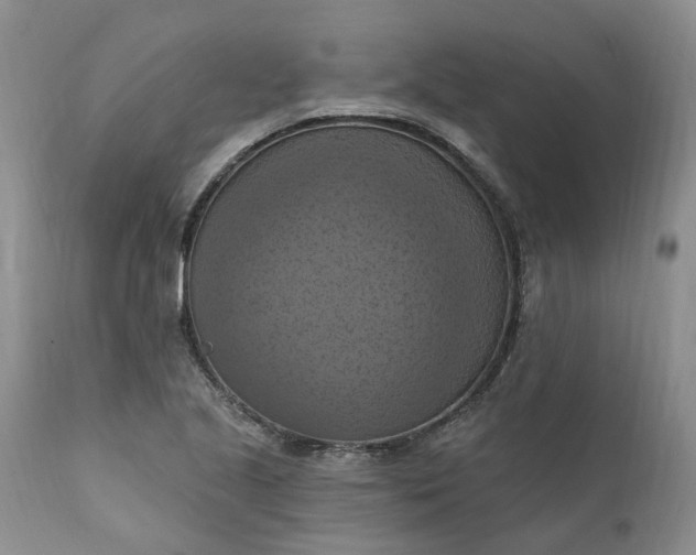 X0000111361221200907241214