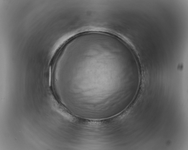 X0000111361223200907241214