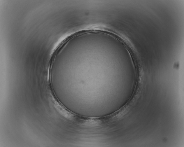 X0000111361224200907241214