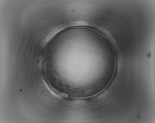 X0000111361225200907241214
