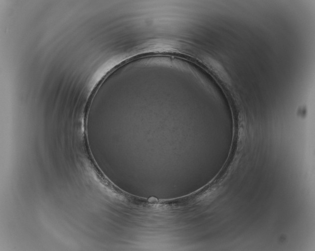 X0000111361226200907241214