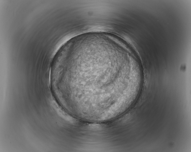 X0000111361227200907241214